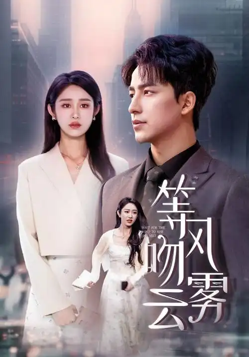 短剧免费观看 风起长街 古装权谋短剧缩略图
